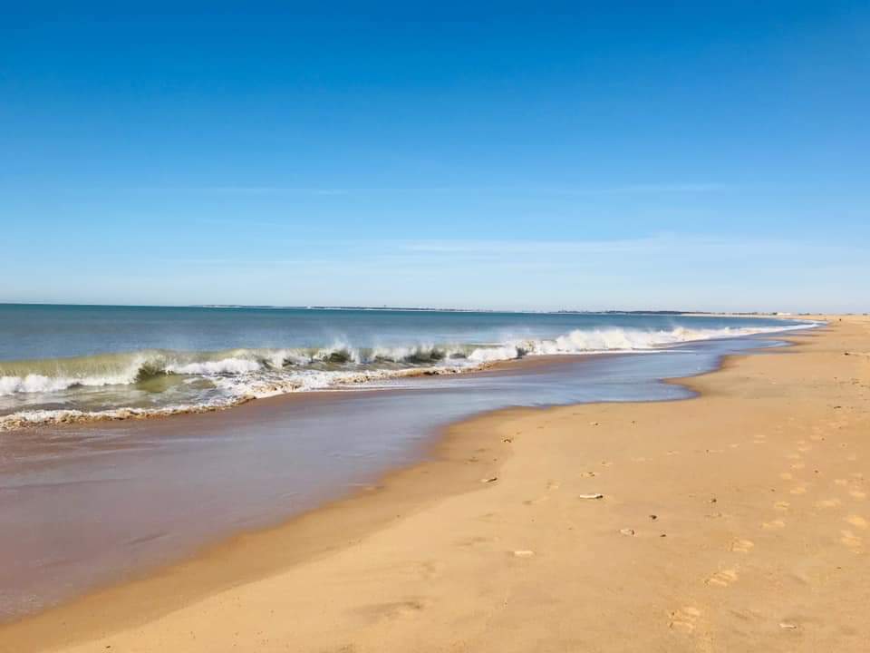camping dernière minute vendée